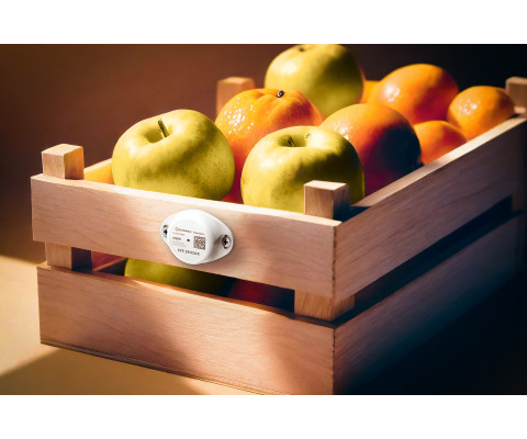 Датчик температури EYE Sensor